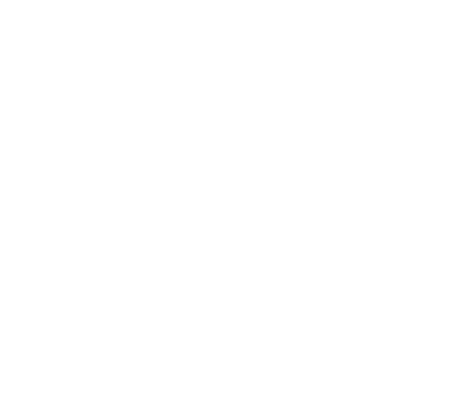 Southern Honor Wrestling